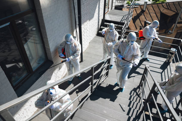 Best Biohazard Mold Removal  in Pinehurst, MA