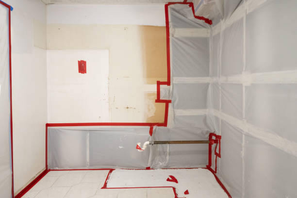 Best Mold Prevention Services  in Pinehurst, MA