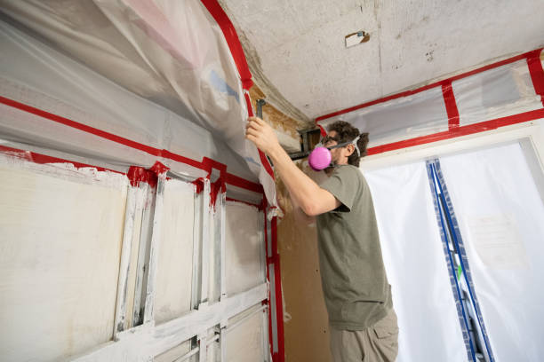 Best Indoor Air Quality Assessment  in Pinehurst, MA