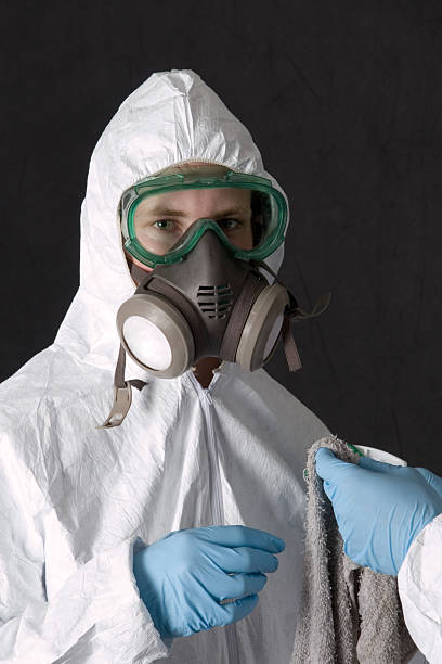 Best Asbestos and Lead Testing During Mold Inspection  in Pinehurst, MA